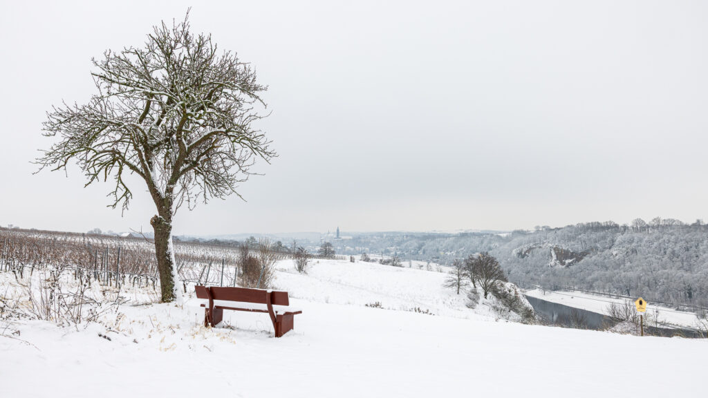 Aussicht zwischen Rottewitz und Zadel mit Blick auf Meißen im Winter mit Eis und Schnee